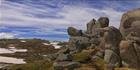 Kosciuszko NP - NSW T (PBH4 00 10720)